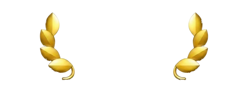 דירוג 4.9 מתוך 5